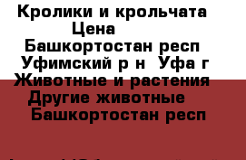 Кролики и крольчата › Цена ­ 150 - Башкортостан респ., Уфимский р-н, Уфа г. Животные и растения » Другие животные   . Башкортостан респ.